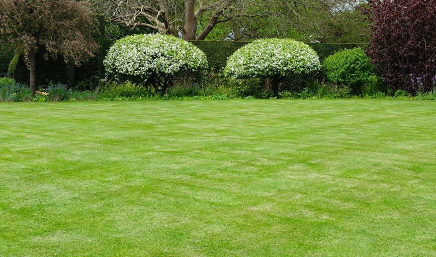 Landscaping